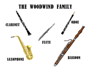 Các nhạc khí trong dàn nhạc giao hưởng - Bộ gỗ 1